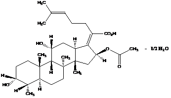 f8cc1c6efb7586a32811439a8225d4e4_3119090d-612f-47aa-9a50-5baaeff00adf.png