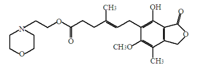 7976c69c6cf44d27491b0ac06e3de0af_47dfaf52-4875-4839-99eb-5f1a6e8454c5.png