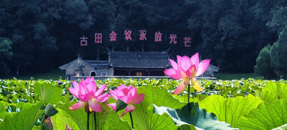 九阳生物党支部赴瑞金红色学习